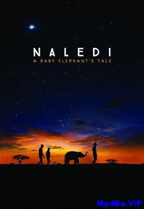 [中英双字]纳勒迪.一只小象的故事.Naledi.A.Baby.Elephants.Tale.2016.1080p.WEBRip.x264.CHS.ENG-BTBT4K 2.28GB [复制链接]