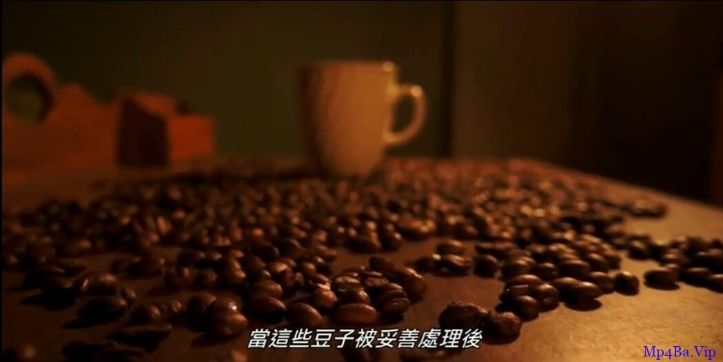 [2017] [欧美] [纪录] [BT下载][杯中文化][HD-MP4/1.5G][英语中字][720P][一杯咖啡所包含的文化内涵]