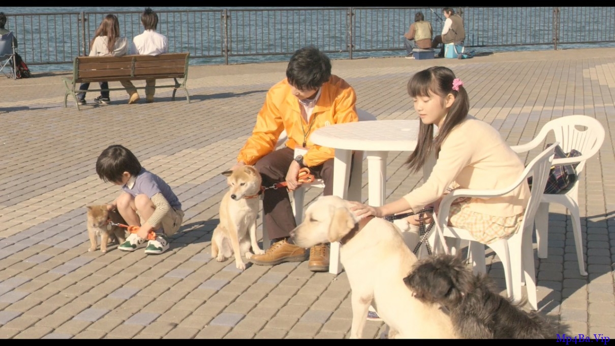 [2013] [日本] [剧情] [BT下载][向日葵与幼犬的7天][BD-MKV/1.46GB][日语中字][720P][日本感人动物家庭片]]