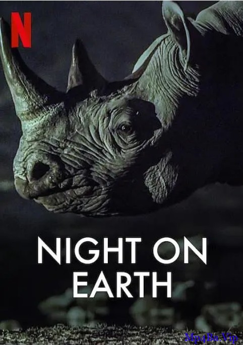 [地球的夜晚-01][HD-MP4/810MB][英语中字][720P][欧美全新科技动物在夜间的百样面貌]