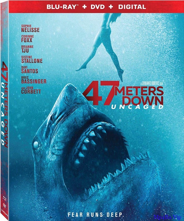 [2019] [欧美] [惊悚] [BT下载][鲨海47米：狂鲨出笼][BD-MKV/3.56GB][国英双语中字][1080P][超刺激惊悚冒险大片]