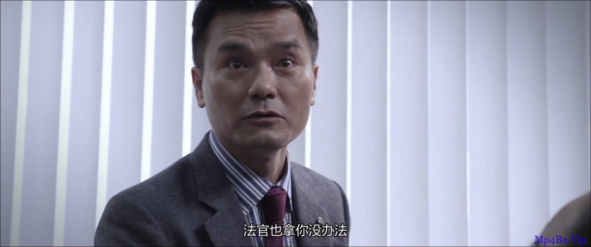 [2014] [香港] [犯罪] [BT下载][反贪风暴][1080p][BD-mp4/1.62G][国语中字]