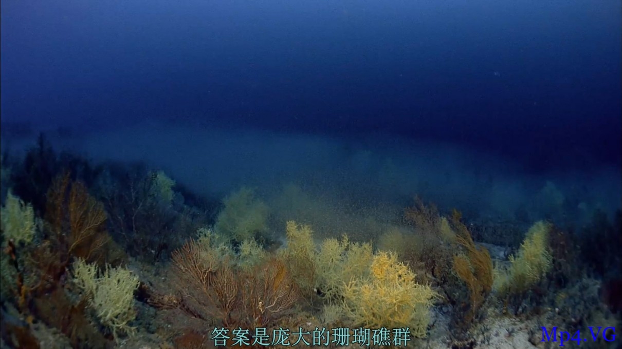 [IMAX海洋绿洲][BD-MKV/1.45GB][1080P][英语中字][壮观的自然美景及神秘无穷尽的生命]