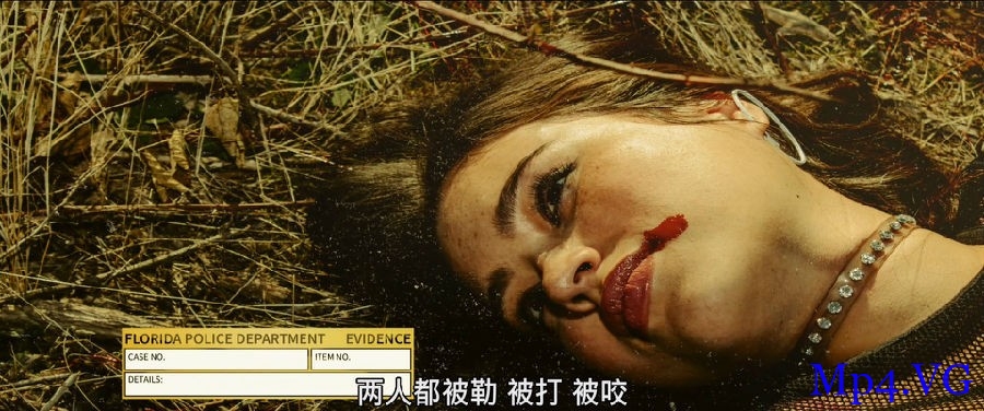 [午夜的柳枝][BD-MKV/9.6GB][中文.中英字幕][1080P][好莱坞性感女明星梅根·福克斯和布鲁斯的最新惊悚片]