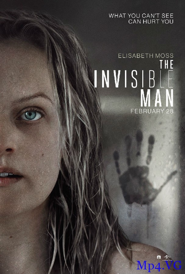 [隐形人 The Invisible Man][BD-MKV][英语中字][1080P/2160P]