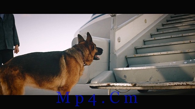 [忠犬帕尔玛][BD-MP4/3.7GB][中字][1080P]