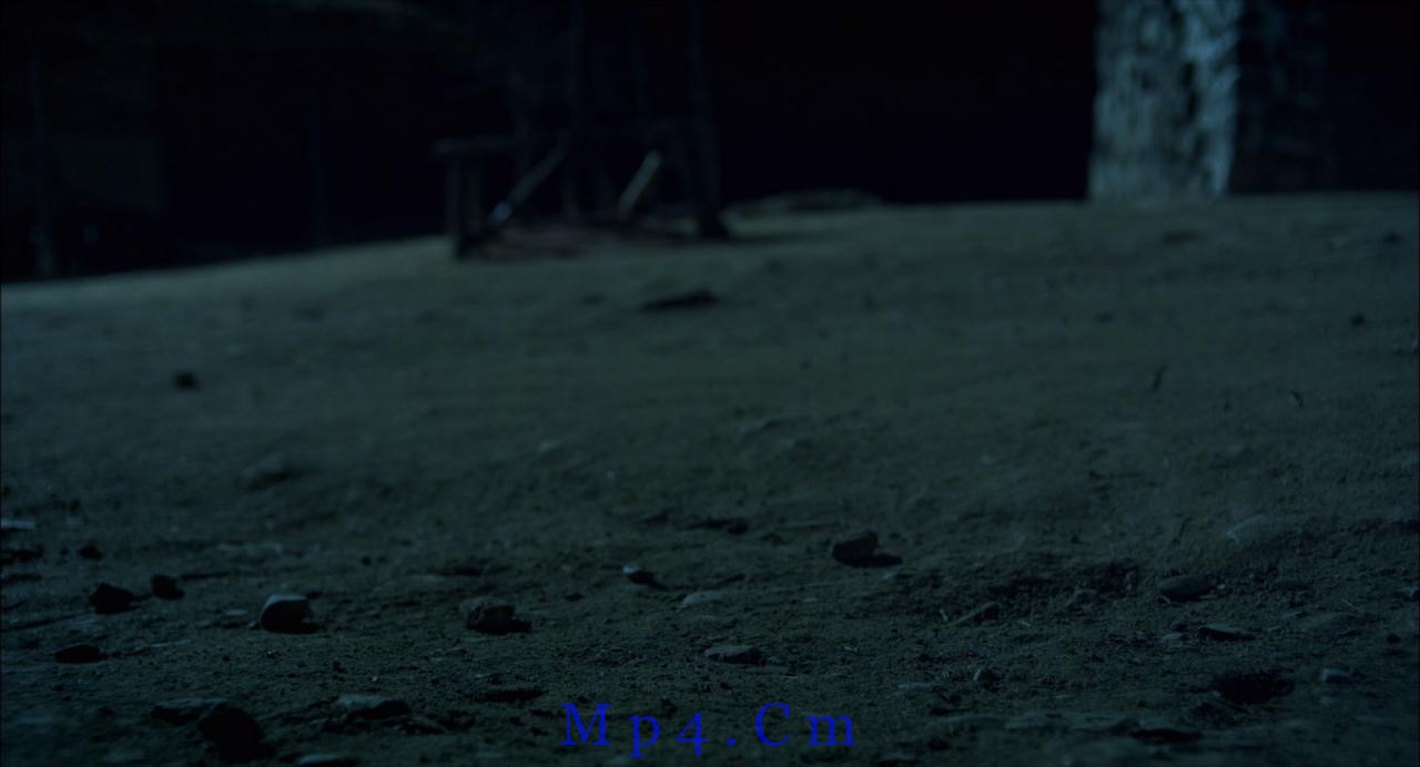 [后宫：帝王之妾][BD-MKV/7.17GB][简繁英字幕][1080P][H265编码][蓝光压制]