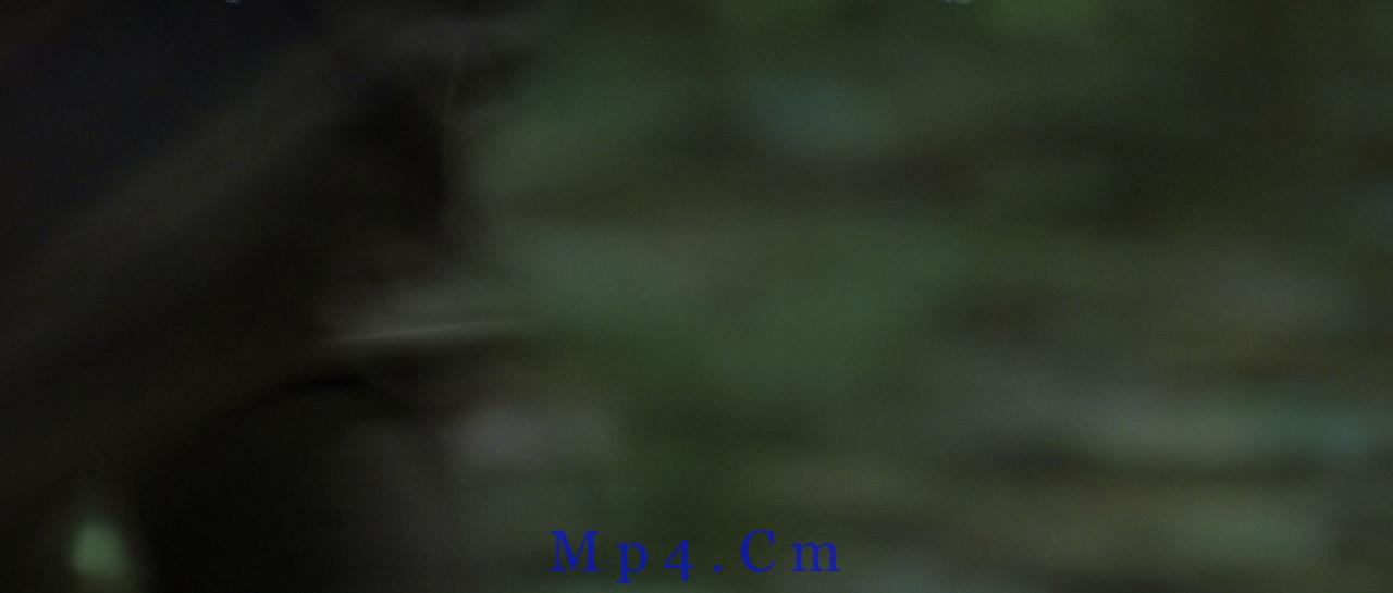 [细细的红线][BD-MKV/15.94GB][简繁英字幕][1080P][H265编码][蓝光压制]
