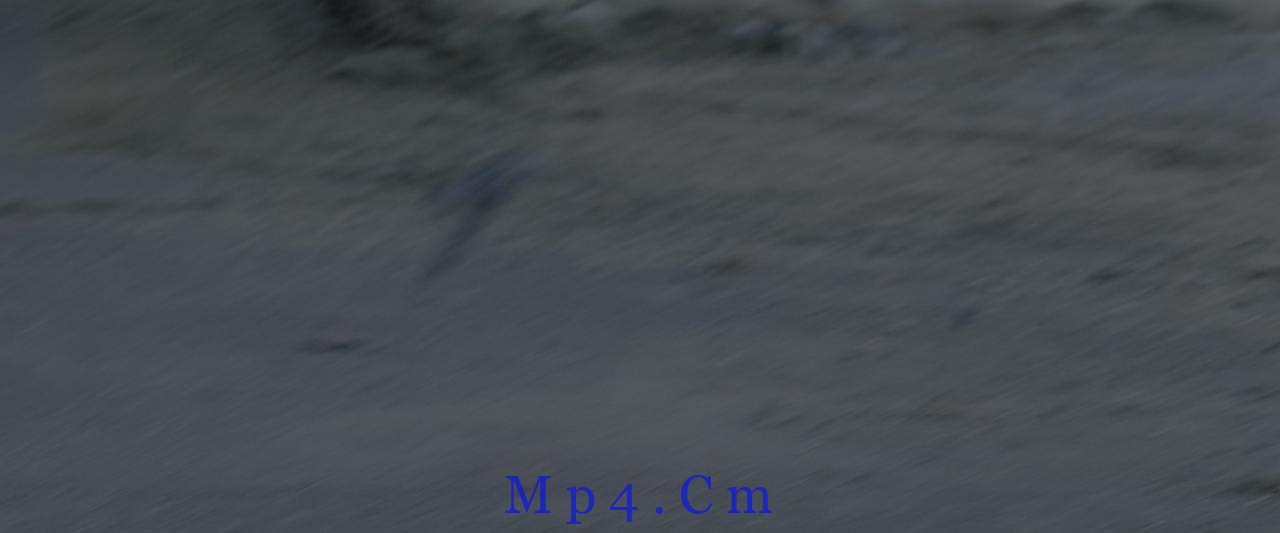 [死侍2：我爱我家][BD-MKV/13.05GB][简繁英字幕][4K-2160P][H265编码][蓝光压制]