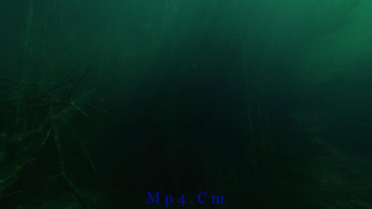 [食人鱼3D][BD-MKV/6.56GB][国英多音轨/中英字幕][1080P][H265编码][蓝光压制]