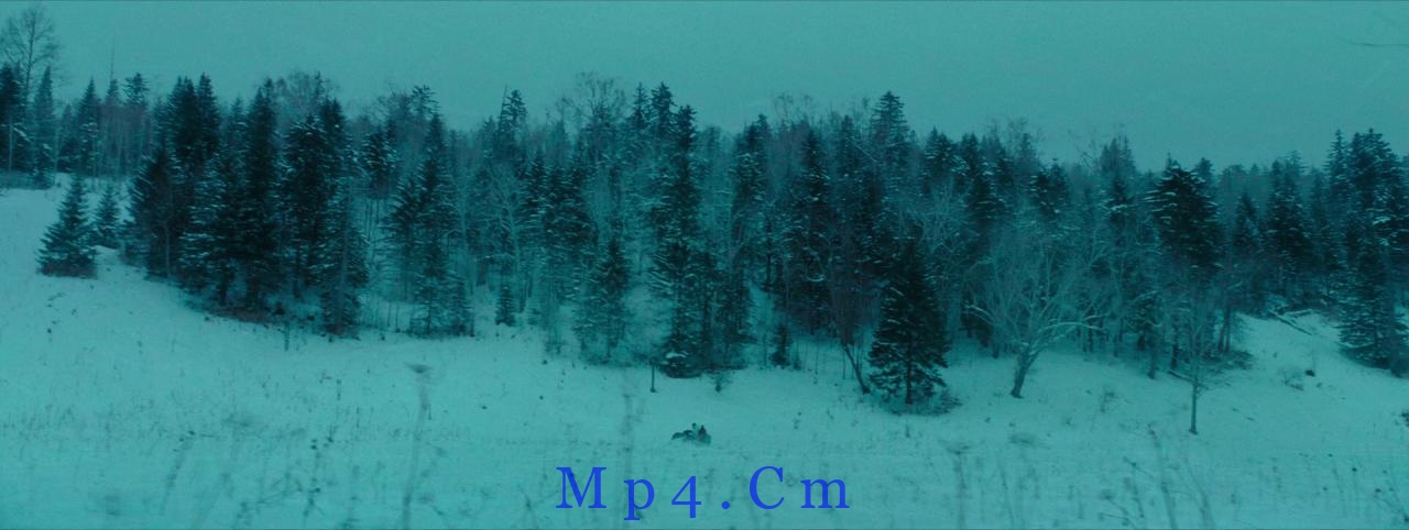 [雪暴][BD-MKV/7.29GB][国语配音][1080P][H265编码][蓝光压制]