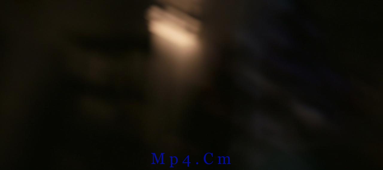 [掠夺者][BD-MKV/4.79GB][中文字幕][1080P][H265编码][蓝光压制]