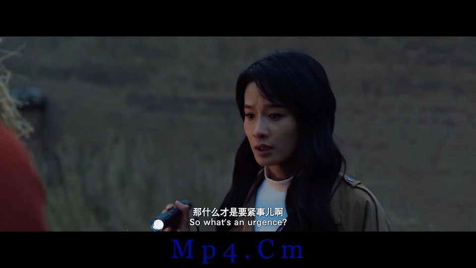 [藏地奇兵][HD-MP4/1.8GB][国语中字][1080P]