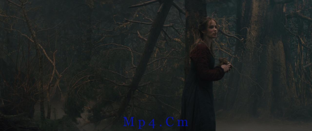 [魔法黑森林][BD-MKV/8.82GB][中文字幕][1080P][H265编码][蓝光压制]
