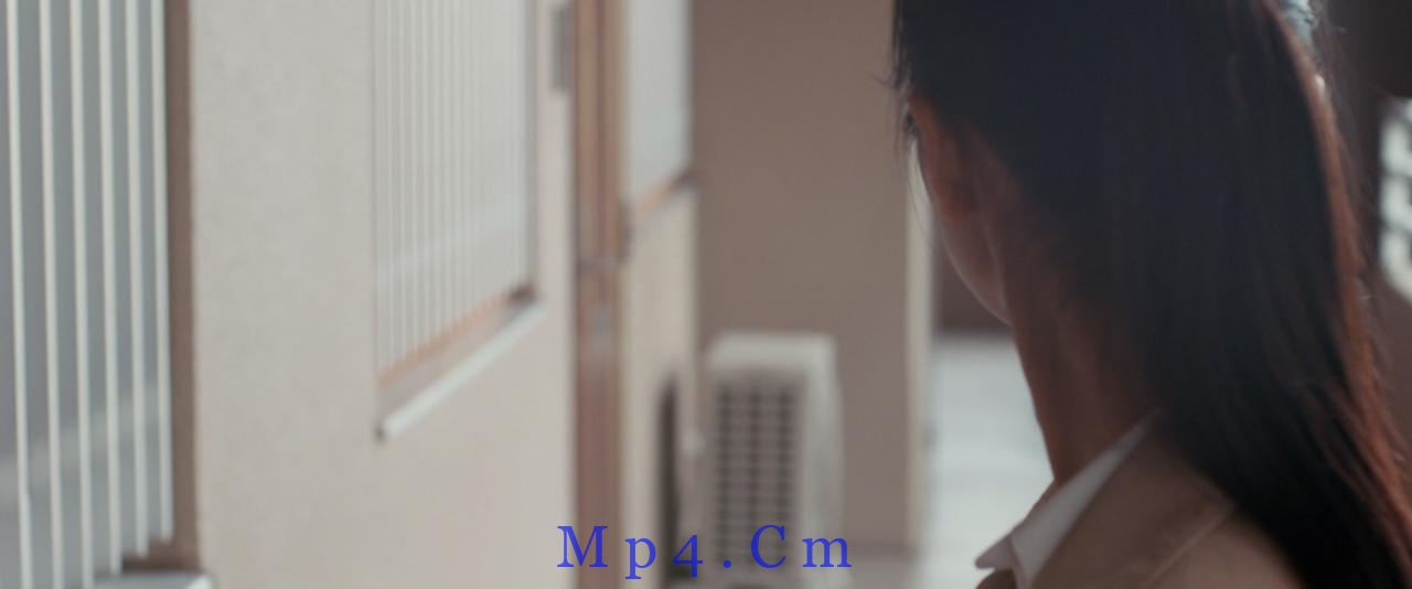 [光][BD-MKV/6.87GB][中文字幕][1080P][H265编码][蓝光压制]