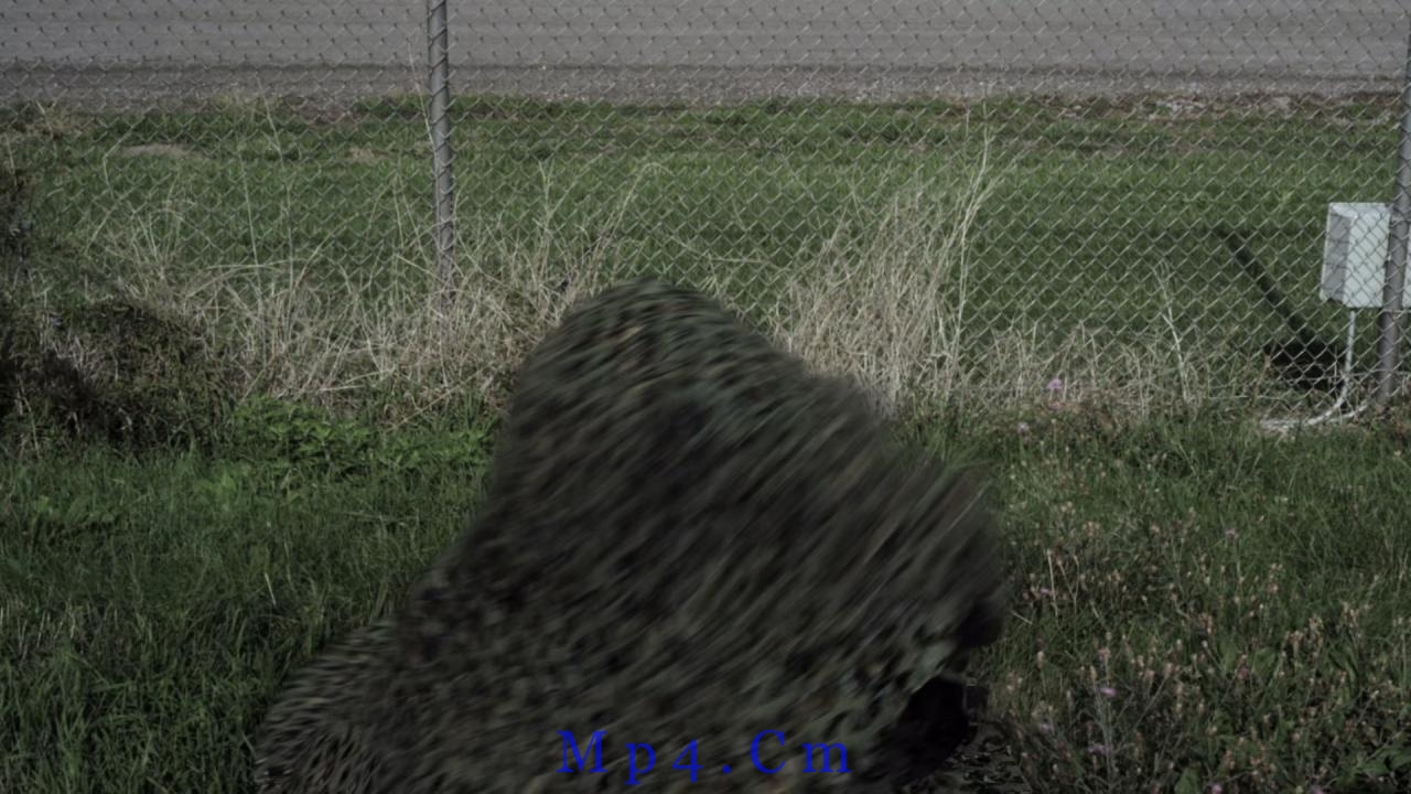 [战犬][BD-MKV/6.35GB][中文字幕][1080P][H265编码][蓝光压制]