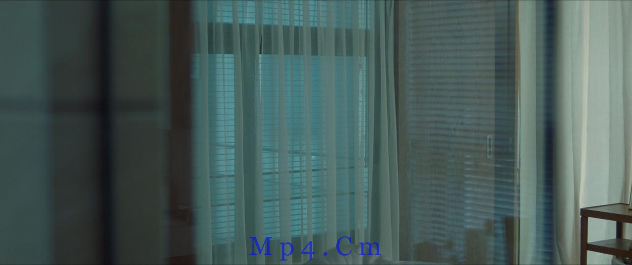 [焚情][BD-MKV/8.09GB][中文字幕/国粤语音轨][1080P][H265编码][蓝光压制]