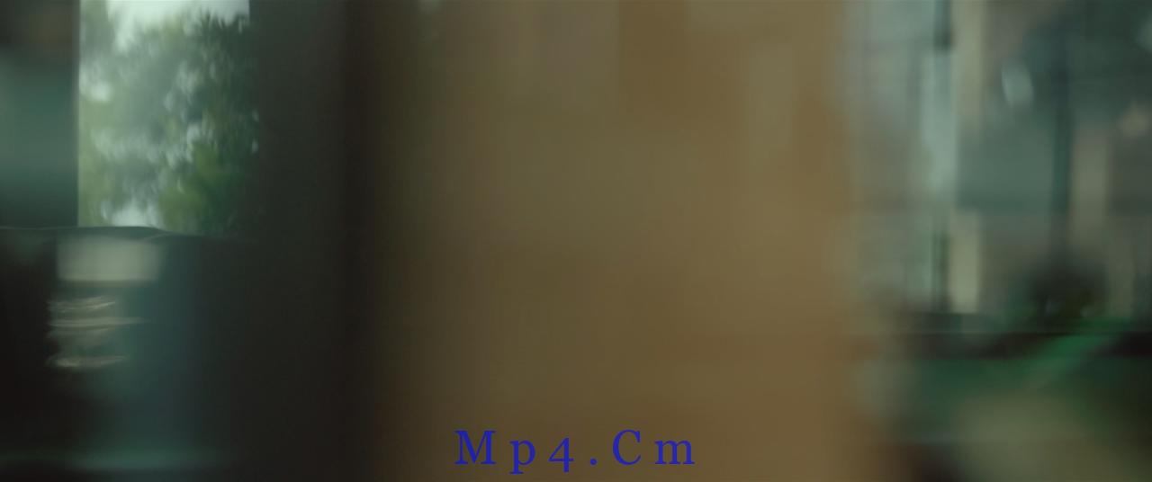 [追龙Ⅱ][BD-MKV/6.88GB][国语配音/中文字幕][1080P][H265编码][蓝光压制]