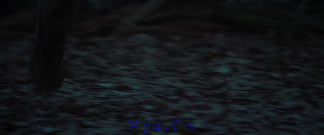 [“那个”所在的森林][BD-MKV/9.00GB][简繁字幕][1080P][蓝光压制]