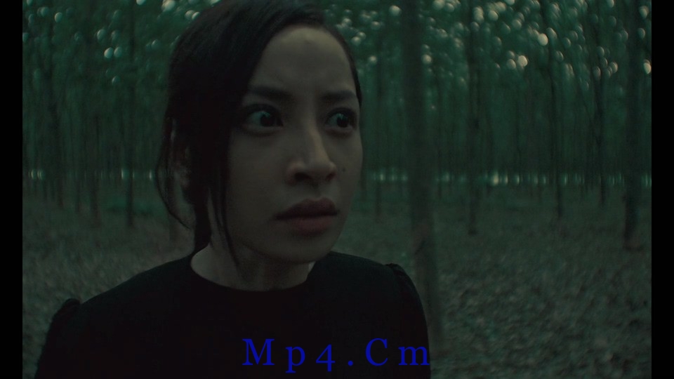 [抽象画中的越南少女2][HD-MP4/3.7GB][越南语中字][1080P]