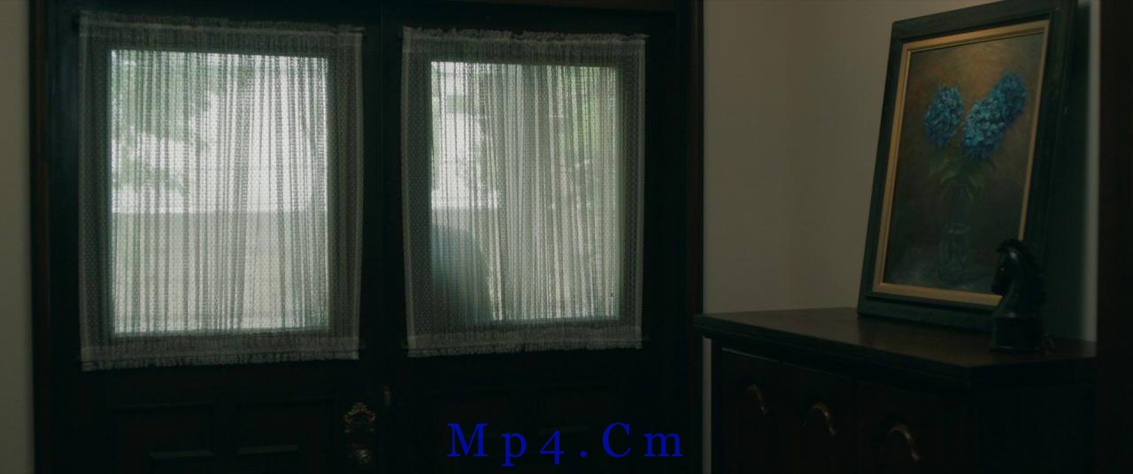 [母性][BD-MKV/9.75GB][简繁字幕][1080P][蓝光压制]