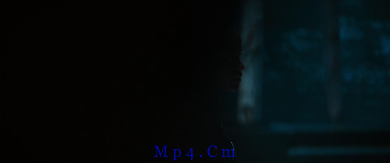 [黑豹2][BD-MKV/11.49GB][中文字幕][1080P][H265编码][蓝光压制]