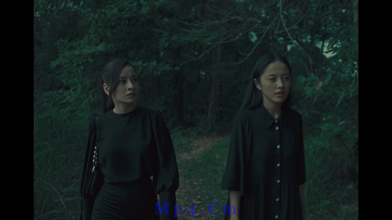 [抽象画中的越南少女2][WEB-MKV/5.53GB][中文字幕][1080P][流媒体]