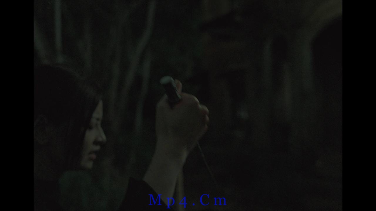 [抽象画中的越南少女2][WEB-MKV/5.53GB][中文字幕][1080P][流媒体]