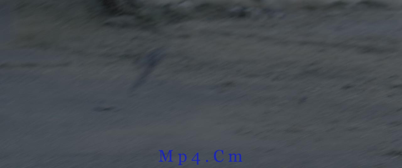 [死侍2：我爱我家][BD-MP4/23.17GB][中文字幕/特效字幕][4K-2160P][HDR版本][H265编码][蓝光压制]