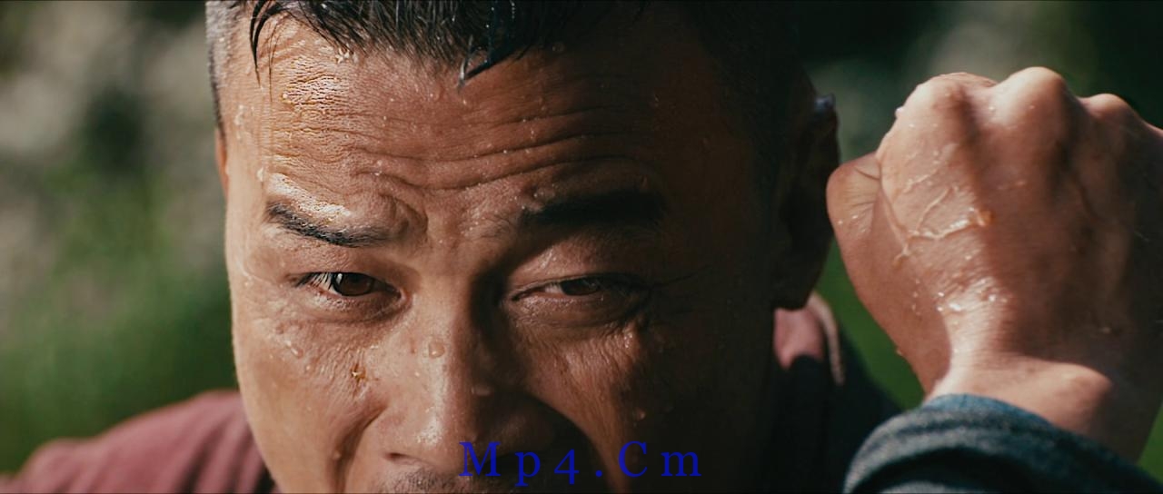 [武侠][BD-MKV/13.97GB][国语配音/中文字幕][1080P][蓝光压制]