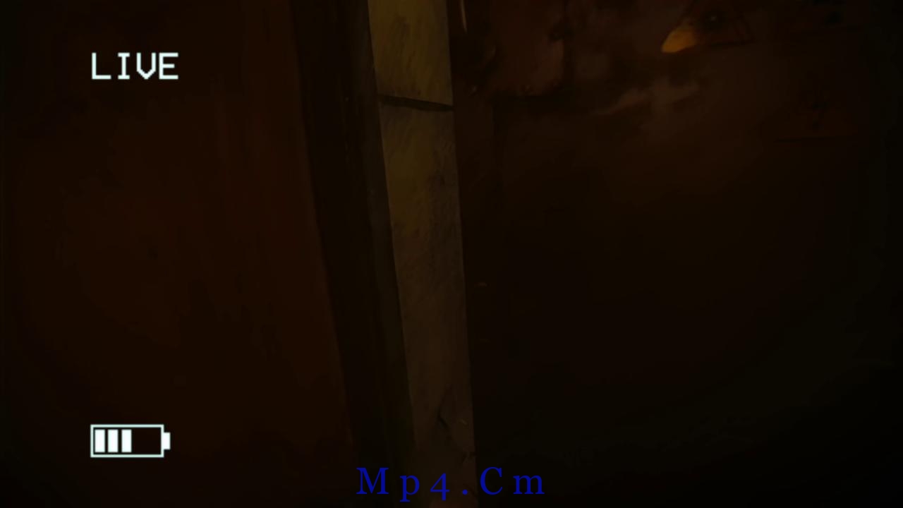 [致命录像带94][BD-MKV/11.44GB][中文字幕][1080P][蓝光压制]