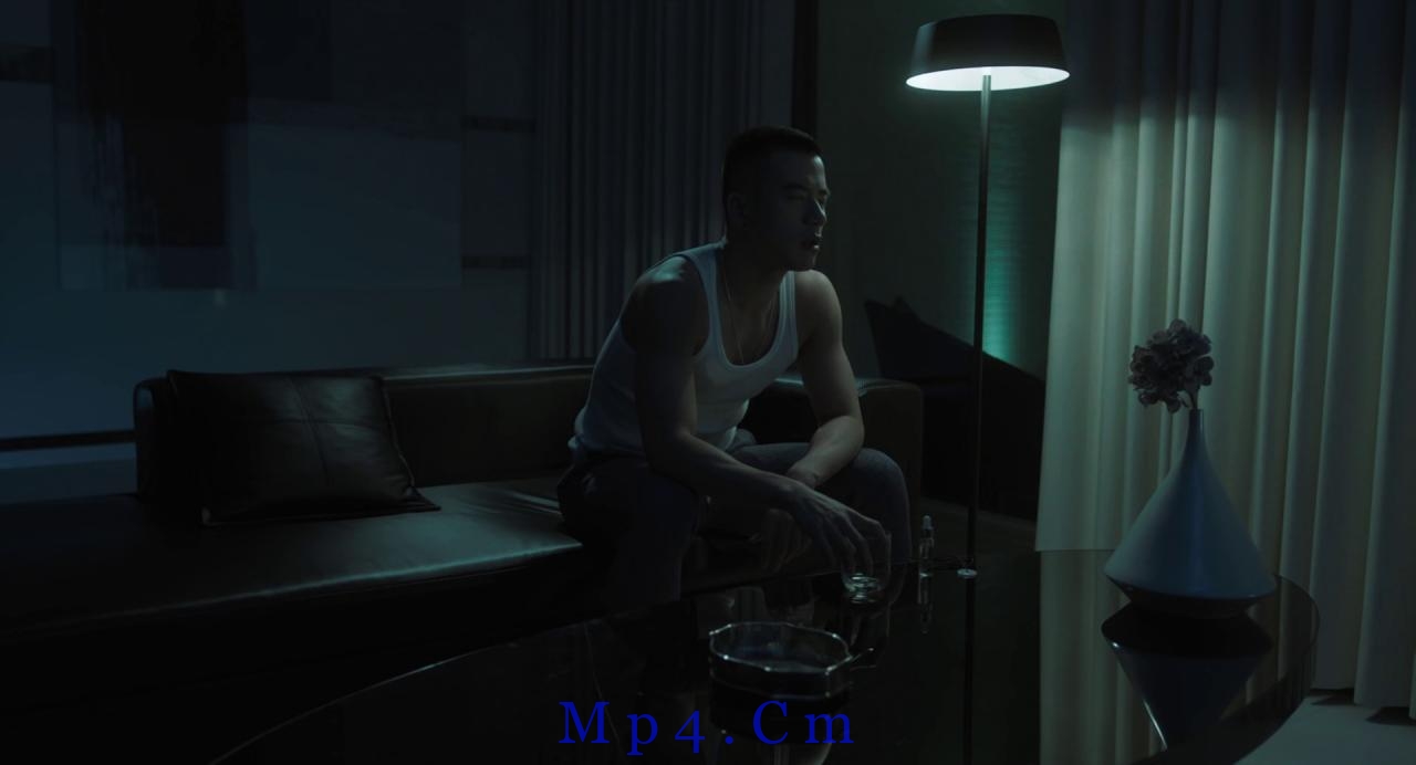 [红楼梦][BD-MKV/9.52GB][国语配音/中文字幕][1080P][蓝光压制]
