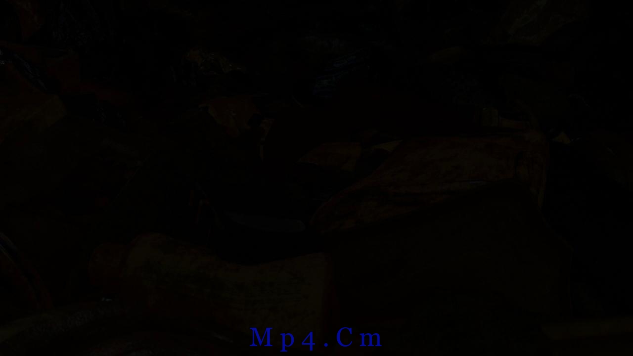 [玩具总动员3][BD-MKV/9.59GB][国粤英多音轨][1080P][蓝光压制]