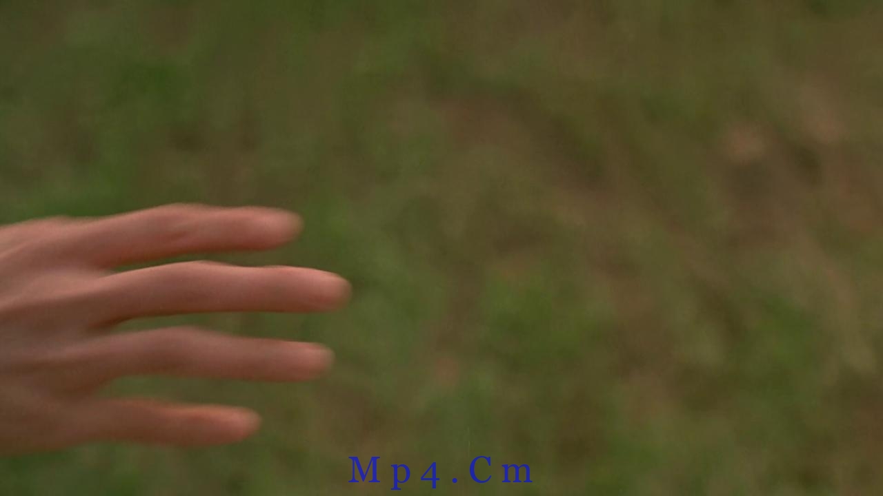 [整蛊王][BD-MKV/11.40GB][国语配音/中文字幕][1080P][蓝光压制]