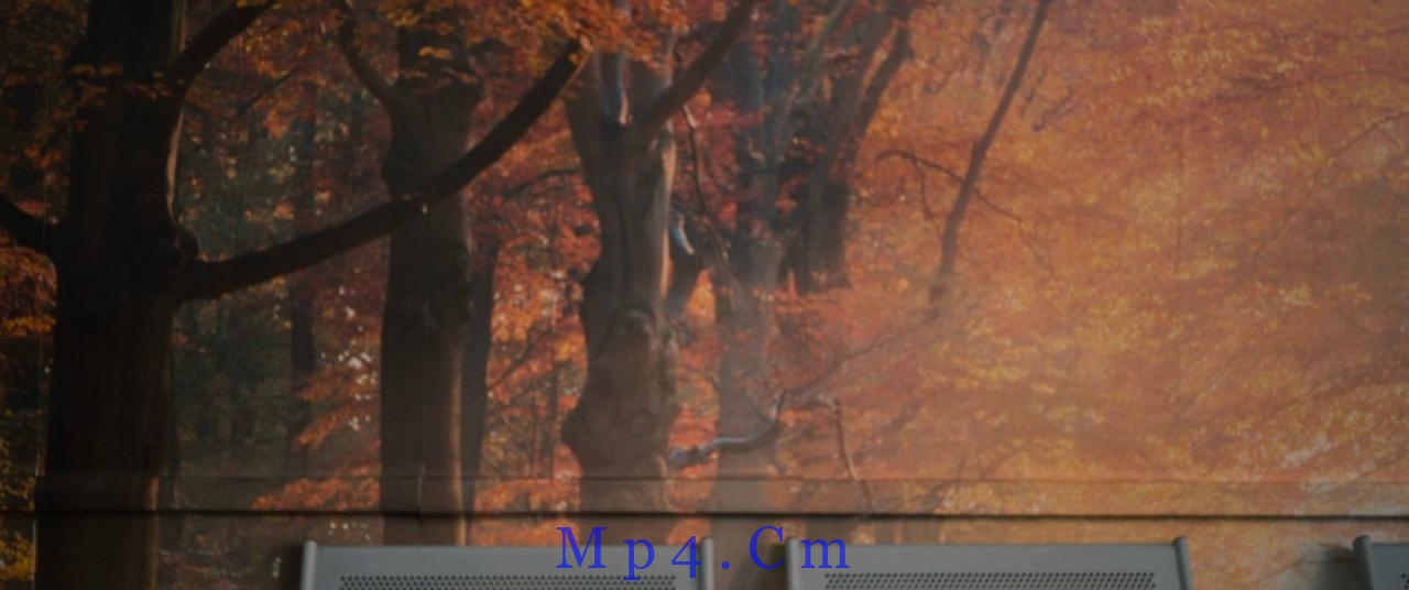 [替补][BD-MKV/10.88GB][简繁英字幕][1080P][蓝光压制]